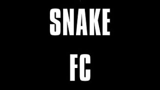 ⚽️20241013 SNAKE vs RNS FC 2쿼터⚽️ [upl. by Dott641]