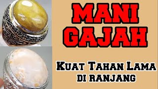 BATU MANI GAJAH ‼️KUAT DI RANJANG ‼️ [upl. by Rahas]