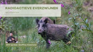 HVVwebinar wildziekten radioactieve everzwijnen [upl. by Odnomra]