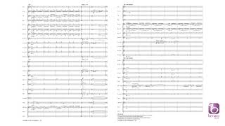 Coldplay in Symphony – arr by Bert Appermont [upl. by Jenine]