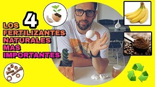 4 FERTILIZANTES NATURALES PARA CACTUS SUCULENTAS Y TODO TIPO DE PLANTAS [upl. by Grados]