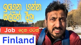 ඉගෙන ගන්න සල්ලිත් දීලා job දෙන රටක් vlog 23 [upl. by Whitten]