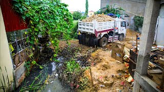 Complete 100  Landfill up in Flooded areas Bulldozer D20P amp Truck 5T Pushing Soil Into Swamp [upl. by Kermie]