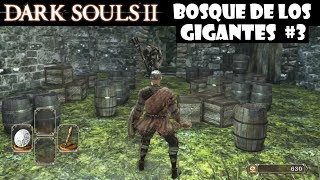 Dark Souls 2 guia BOSQUE DE LOS GIGANTES CAÍDOS 3  Conseguimos la Saponita señal blanca  Ep6 [upl. by Harihs]