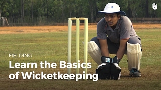 Learn the Basics of Wicketkeeping  Cricket [upl. by Adnauqaj]