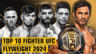 10 Fighter Terbaik UFC Flyweight di Awal Tahun 2024 [upl. by Aitital]