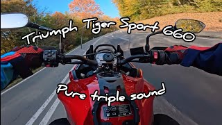 Triumph Tiger Sport 660 sound [upl. by Aciamaj]