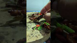 Eating insect food grasshopper shortsvideo brave tasty insects [upl. by Thierry]