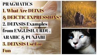 Deixis amp Deictic Expressions  Types of Deixis  English Urdu Punjabi amp Arabic Examples  Deixis Fun [upl. by Nikki70]