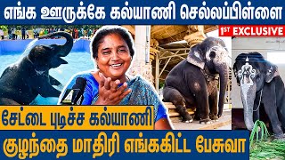 பாட்டு சத்தம் கேட்டா விஜய் மாதிரி ஆடுவா  Perur Kalyani Elephant Swimming Pool Interview Arrowroots [upl. by Valentin]