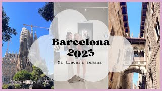 Barcelona ‘23 I vlog 3 [upl. by Aleakim]