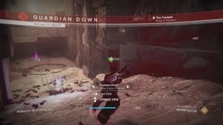 Destiny 2 VOG Duo Conflux [upl. by Travers481]