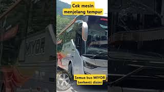 Semua bus MIYOR berhenti disini [upl. by Dan46]