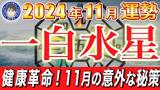 【2024年11月】一白水星の運勢解説｜チャンス到来！運気を掴むための秘訣【九星気学鑑定士 夏目晃丞の九星気学】 [upl. by Bissell]