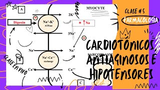 5 CARDIOTÓNICOS ANTIAGINOSOS E HIPOTENSORES [upl. by Enilegna]