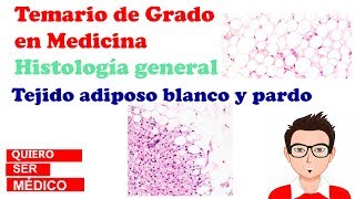 Tejido adiposo blanco y pardo  Histología [upl. by Alehtse]