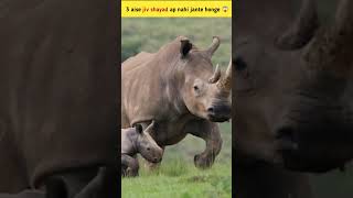 3 aise jiv shayad ap nahi jante ho honge youtube short video viral animal facts [upl. by Seni]