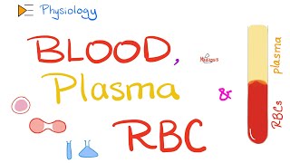 Blood Plasma and Red Blood Cells  Physiology of Blood and Immune System  Physiology Playlist [upl. by Assirrac]