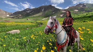 Beje Delal  Mihemed Selîmê Temo 💐 KÜRTÇE UZUN HAVA DENGBEJİ MÜZİK [upl. by Nedap361]