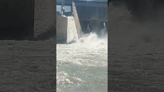 Spillway water following at NJHPC dam waterfall followers travel subscribers [upl. by Yran]