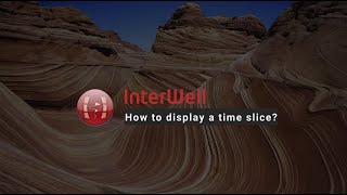 How to display a time slice in InterWell English [upl. by Nanji]