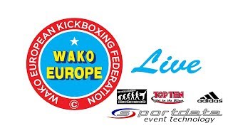 Tatami 2 Finals WAKO European Championships 2017 Skopje [upl. by Blase943]