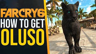 How to get the BEST AMIGO Oluso in Far Cry 6 [upl. by Aihsyla367]