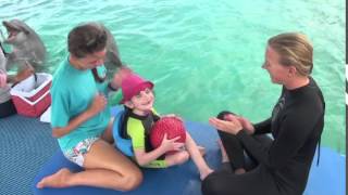 CDTC Delfintherapie Tijana in Curacao [upl. by Maggee]