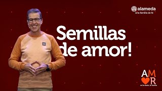 Semillas de amor [upl. by Delbert]