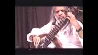 Baba Shamsuddin Faridi Desai Dhrupad Raga Yaman on Rudra Veena [upl. by Nolyat994]