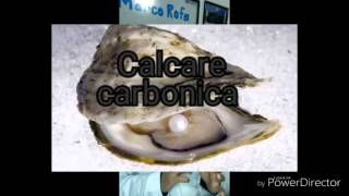 Calcarea carbonica homeopatia [upl. by Moriyama105]