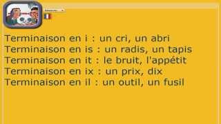 Dictée préparée primaire et collège  La ville  Noms terminés par le son i [upl. by Akineg]