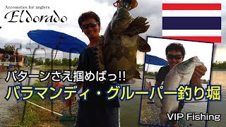 タイのバラマンディ・グルーパー釣り掘 – VIP Fishing [upl. by Joeann193]