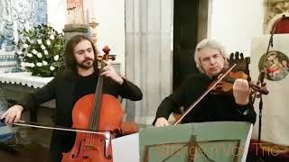 Strings nVox Trio  Arioso Bach [upl. by Atinehs]