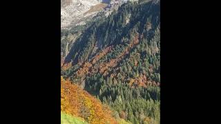 BELLES LUMIÈRES D’AUTOMNE  Aravis Le Grand BornandHaute SavoieFrance [upl. by Abekam]