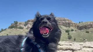 Lake Pueblo State Park Pueblo Colorado vacation canyon hiking lakes madison cactus trail oh [upl. by Elstan]