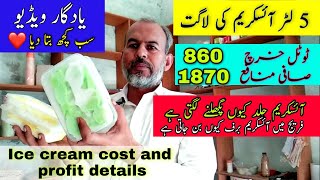 Ice cream cost and profit details top business in Pakistan [upl. by Ena228]