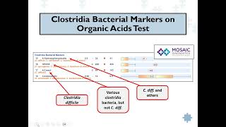 Clostridia Bacteria Induced Disease  More Than a Digestive System Problem Webinar [upl. by Aicilla]