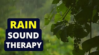 Tinnitus Sound Therapy  Rain Water [upl. by Berke741]