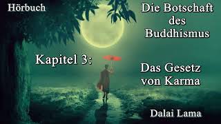 3 Das Gesetz von Karma  Die Botschaft des Buddhismus Hörbuch Dalai Lama [upl. by Eceinwahs]