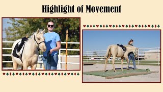 FOR SALE MU Ima Golden Girl – 2024 Appendix AQHA Filly – Movement Highlight [upl. by Ssegrub805]