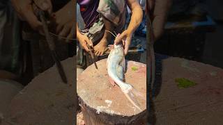 Amazing Huge Ayer Fish Cutting Skills In Bangladesh Fish Market 2shorts [upl. by Vola121]