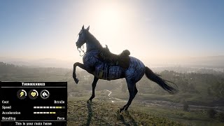 RDR2Only Legendary Folks Can Ride This Horse [upl. by Caria]