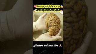 amazing facts about brain interesting facts facts about brain human brain facts shortsfacts😱 [upl. by Jenei]