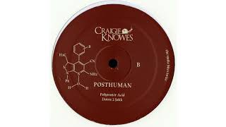 Posthuman  Polywater Acid Craigie Knowes [upl. by Modnar]