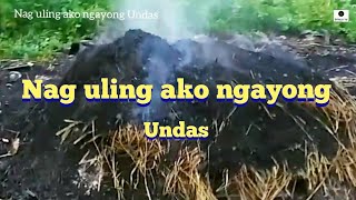 Nag uling ako ngayong Undas undas2024 provincelife dipalotv5110 [upl. by Icrad]