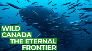 Wild Canada  Part 1 The Eternal Frontier  Free Documentary Nature [upl. by Arraik]