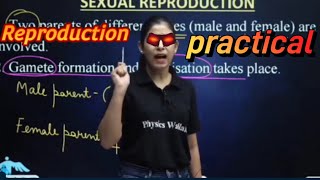 mam got angry on reproduction practical physicswallah [upl. by Fontes]