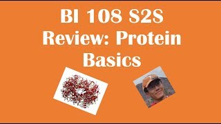 Protein Basics Review BI 108 [upl. by Roslyn438]