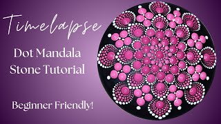 Transform Rocks into Art Exciting Dot Mandala Painting for Beginners [upl. by Haimorej]